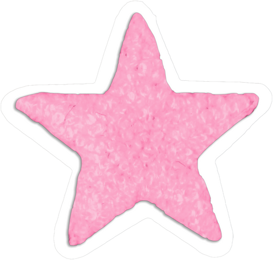 Bluey pink star