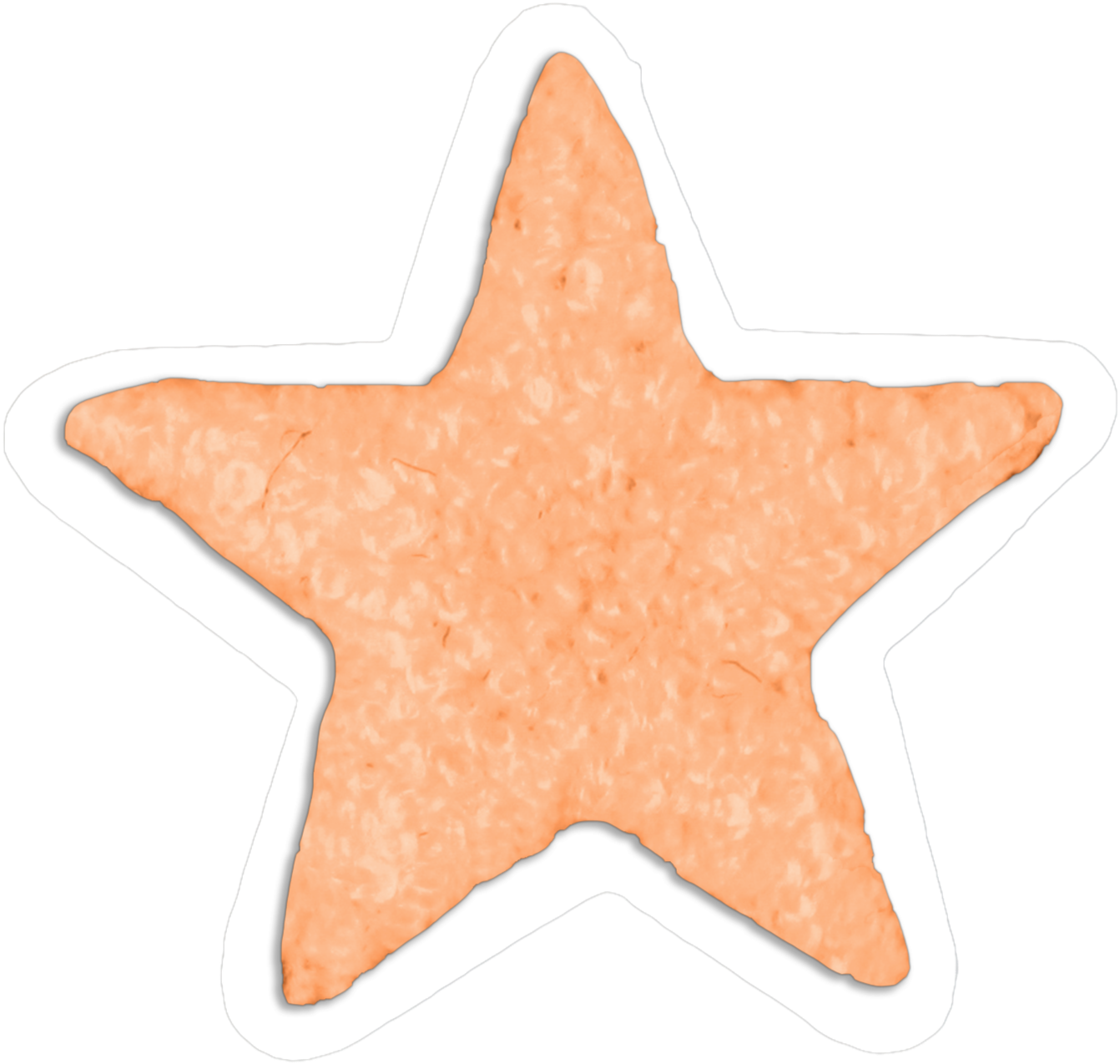 Bluey orange star