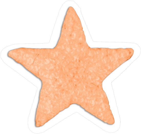Bluey orange star