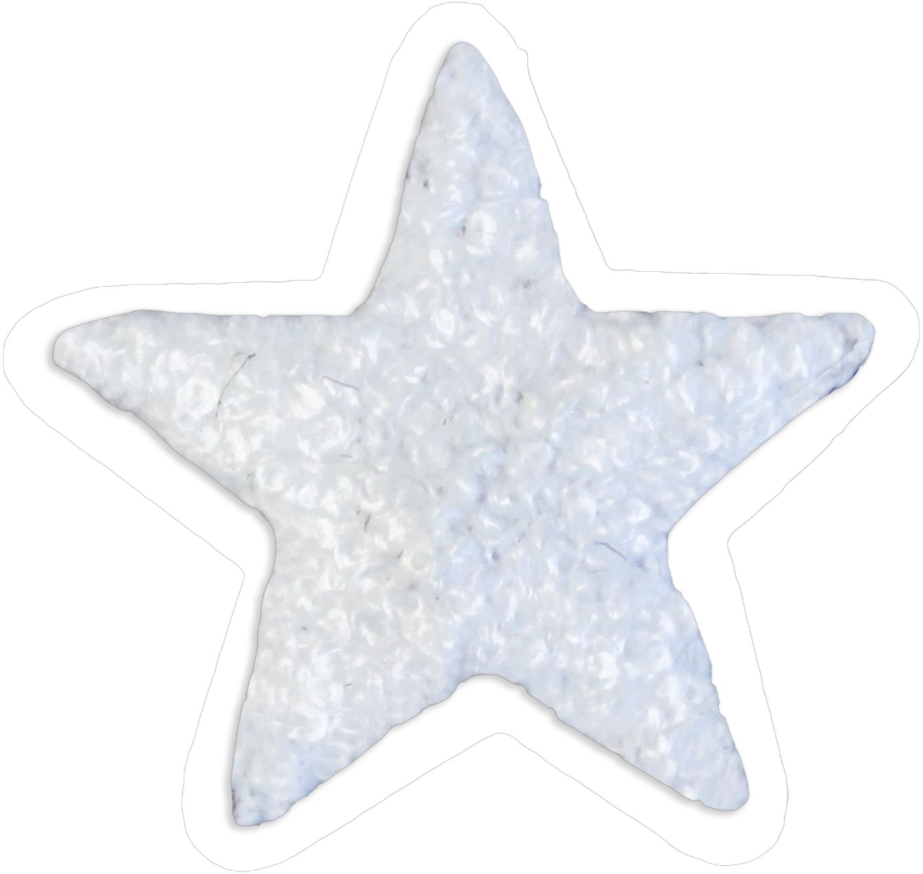 Bluey white star