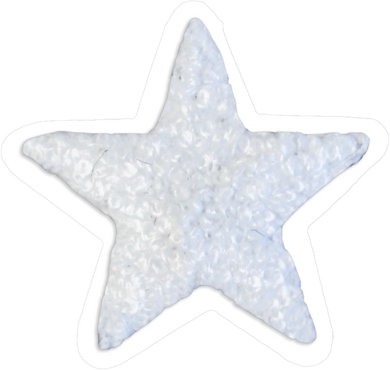 Bluey white star